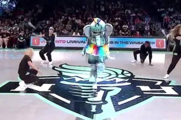 Sports mascots stealing the show